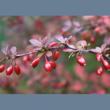Hudpleie og Velvære