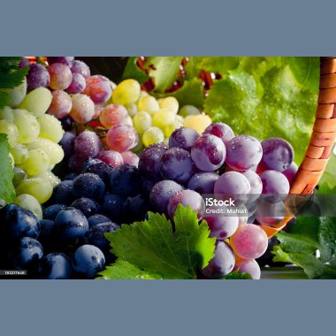 Kosttilskudd - se og kjøp her